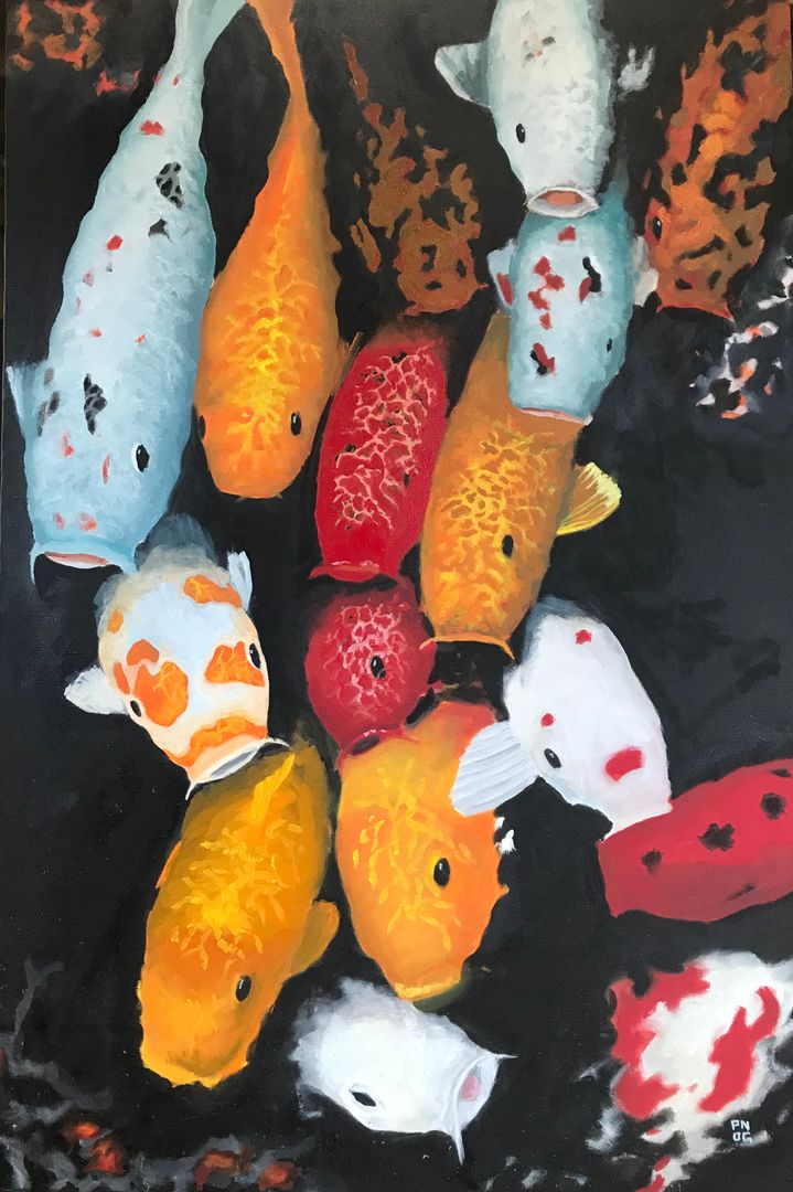 Koi