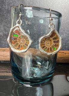 Ammolite Earrings