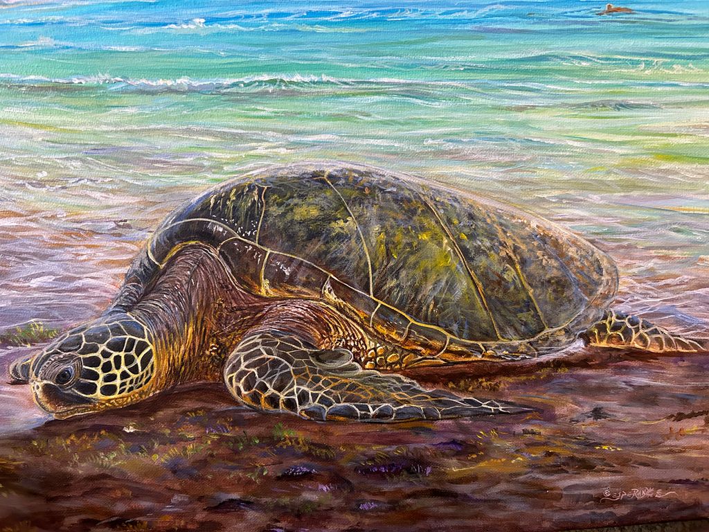 Laniakea Beach Honu