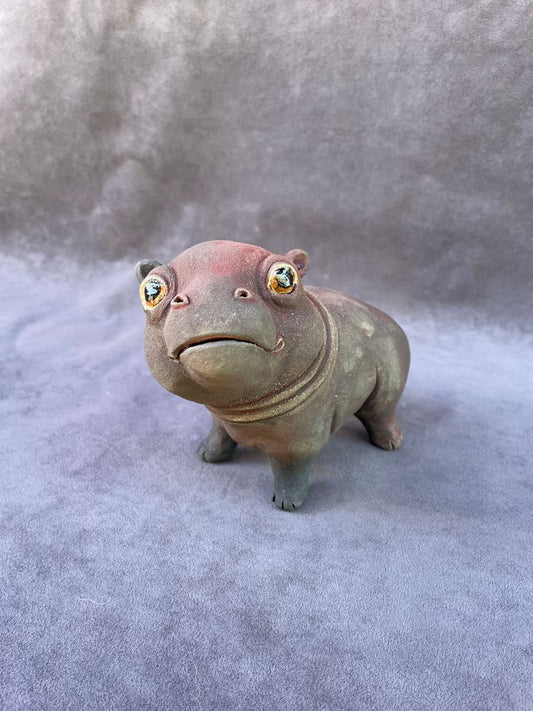 Pygmy Hippo