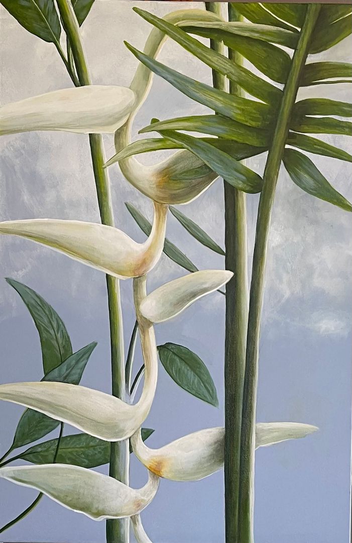 White Heliconia