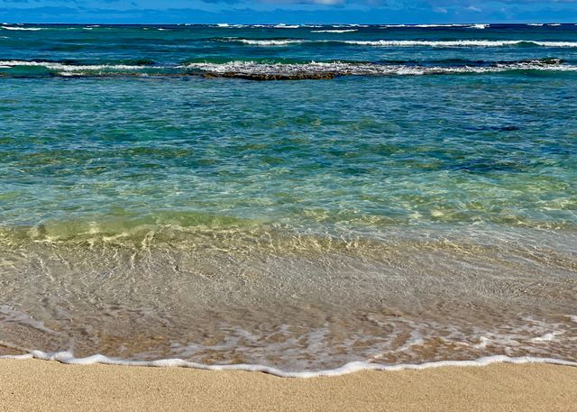 Lāʻie  low tide