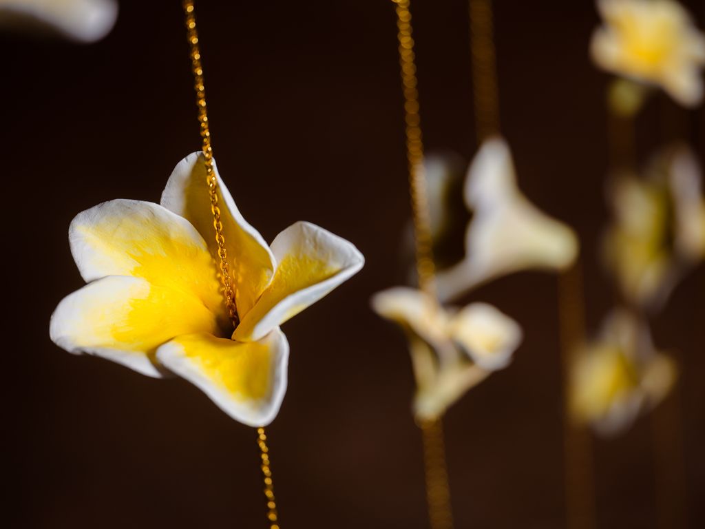 Plumeria Gold Strands Trio