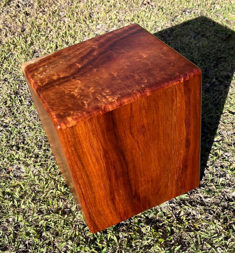 Extra Large/Companion Koa Urn