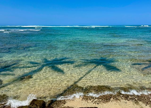 Low tide morning, Diamond Head