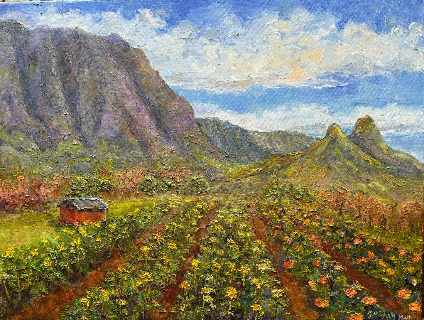 Waimanalo Country Farm